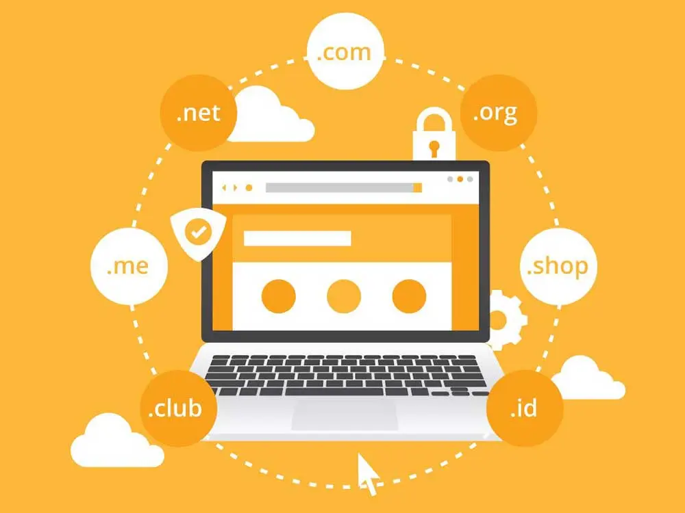 Web Hosting ve Domain Hizmetleri